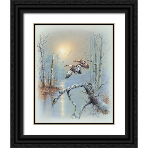 Ducks D Black Ornate Wood Framed Art Print with Double Matting by Orpinas, Andres