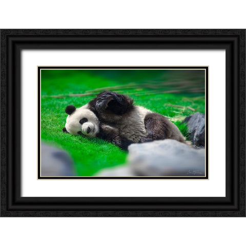 Bamboo Right in my Stomach 2 Black Ornate Wood Framed Art Print with Double Matting by Heine, Ben