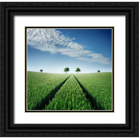 Believe In Your Destiny Black Ornate Wood Framed Art Print with Double Matting by Heine, Ben