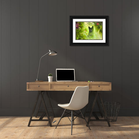 Black Cat Black Ornate Wood Framed Art Print with Double Matting by Heine, Ben