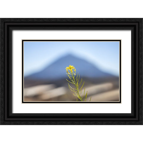 El Teide Black Ornate Wood Framed Art Print with Double Matting by Heine, Ben