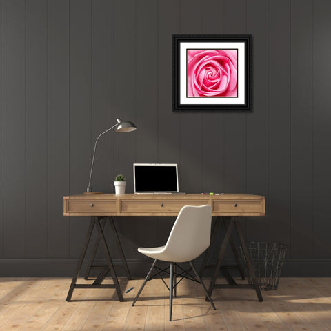 Petal by Petal Black Ornate Wood Framed Art Print with Double Matting by Heine, Ben