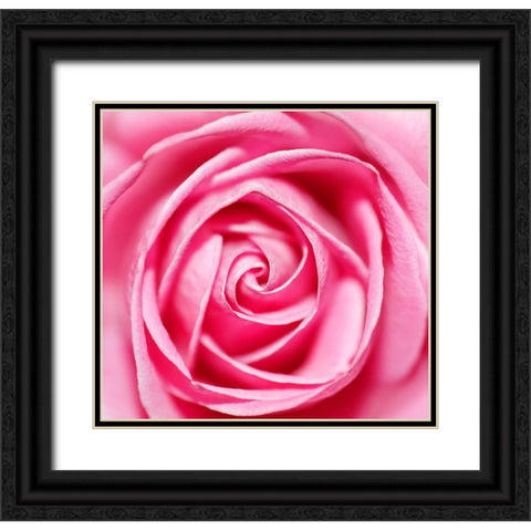 Petal by Petal Black Ornate Wood Framed Art Print with Double Matting by Heine, Ben