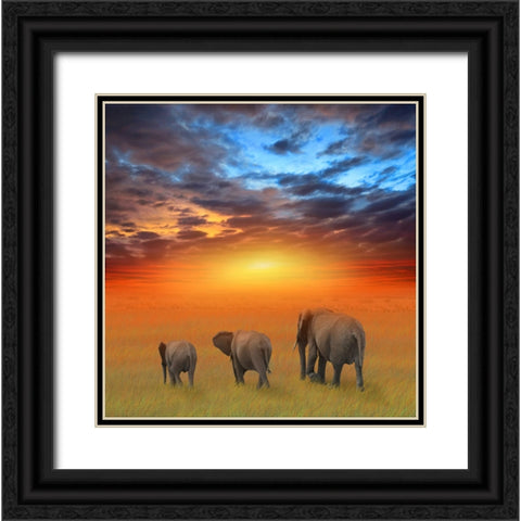 The Future is Bright Black Ornate Wood Framed Art Print with Double Matting by Heine, Ben