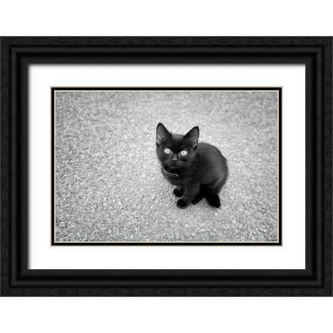 Just a Baby Black Ornate Wood Framed Art Print with Double Matting by Heine, Ben