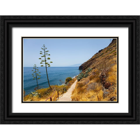 Lanzarote - Tenerife Black Ornate Wood Framed Art Print with Double Matting by Heine, Ben
