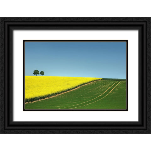 Love is Colorful Black Ornate Wood Framed Art Print with Double Matting by Heine, Ben