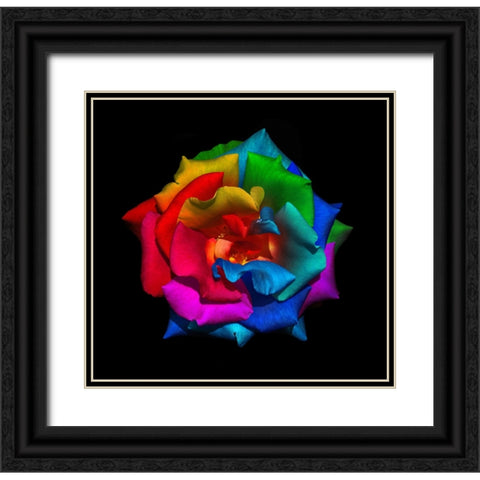 Multicolor Rose Black Ornate Wood Framed Art Print with Double Matting by Heine, Ben