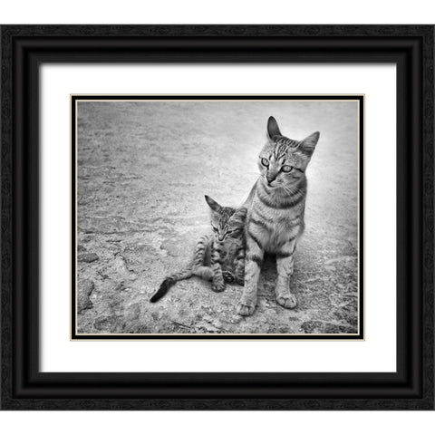 Never Leave Me Alone Black Ornate Wood Framed Art Print with Double Matting by Heine, Ben