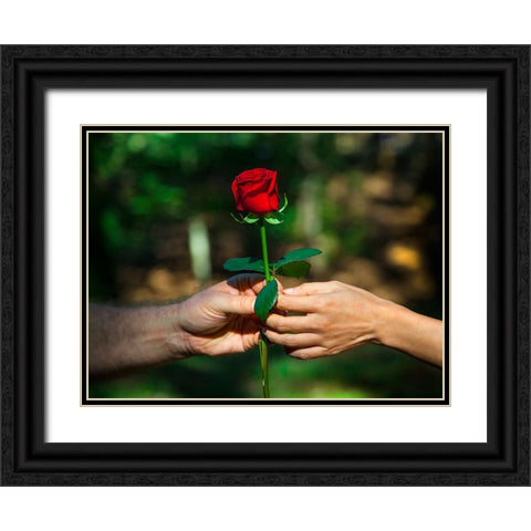 Red Union Black Ornate Wood Framed Art Print with Double Matting by Heine, Ben