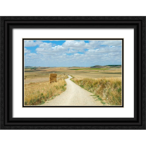 Santiago de Compostela pilgrimage - 165 Black Ornate Wood Framed Art Print with Double Matting by Heine, Ben