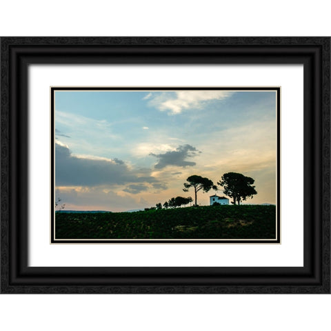 Santiago de Compostela pilgrimage - 216 Black Ornate Wood Framed Art Print with Double Matting by Heine, Ben