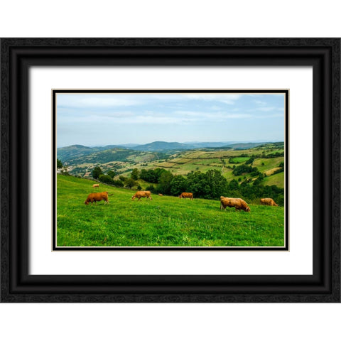 Santiago de Compostela pilgrimage - 237 Black Ornate Wood Framed Art Print with Double Matting by Heine, Ben