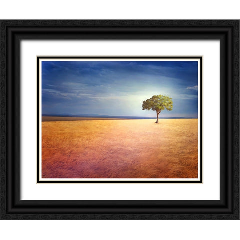 Spirit of the Earth Black Ornate Wood Framed Art Print with Double Matting by Heine, Ben