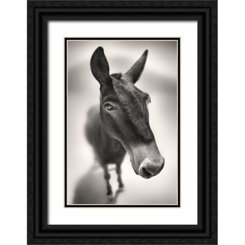 Talking to Me Black Ornate Wood Framed Art Print with Double Matting by Heine, Ben