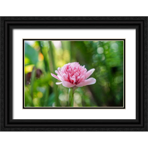 Thailand - 156 Black Ornate Wood Framed Art Print with Double Matting by Heine, Ben