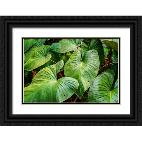 Thailand - 158 Black Ornate Wood Framed Art Print with Double Matting by Heine, Ben