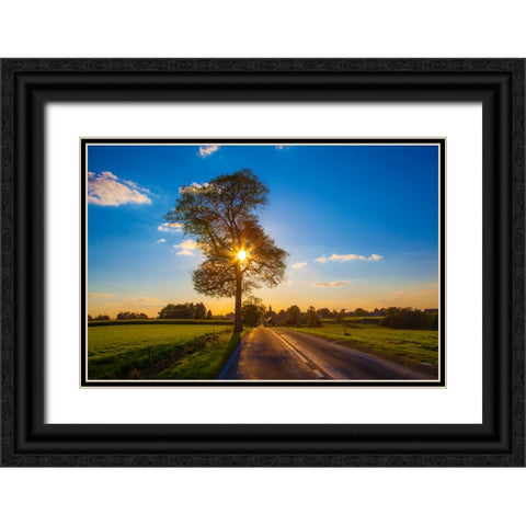 The Gift of Life Black Ornate Wood Framed Art Print with Double Matting by Heine, Ben