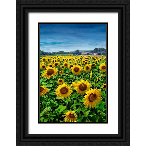 Turn your Face to the Sun Black Ornate Wood Framed Art Print with Double Matting by Heine, Ben
