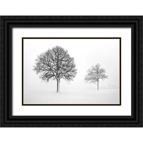 We Grow and Die Together Black Ornate Wood Framed Art Print with Double Matting by Heine, Ben