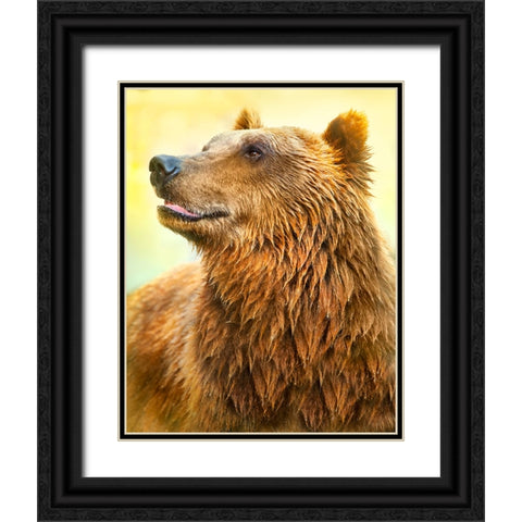 Cute Bear Black Ornate Wood Framed Art Print with Double Matting by Heine, Ben
