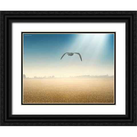 Freedom Start Here Black Ornate Wood Framed Art Print with Double Matting by Heine, Ben