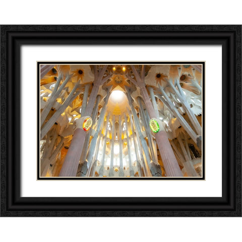 IMG_2418-2 Black Ornate Wood Framed Art Print with Double Matting by Heine, Ben