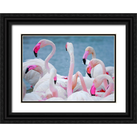 IMG_8897 Black Ornate Wood Framed Art Print with Double Matting by Heine, Ben