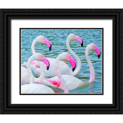 IMG_8905 Black Ornate Wood Framed Art Print with Double Matting by Heine, Ben