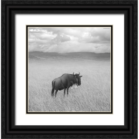 Once Upon a Time in Kenya - 4 Black Ornate Wood Framed Art Print with Double Matting by Heine, Ben