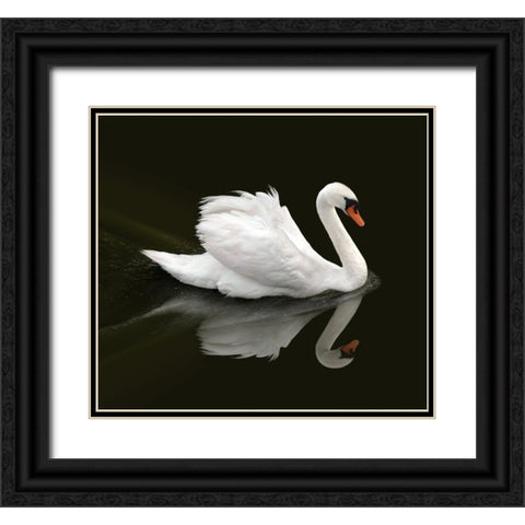 Swan 1 Black Ornate Wood Framed Art Print with Double Matting by Heine, Ben