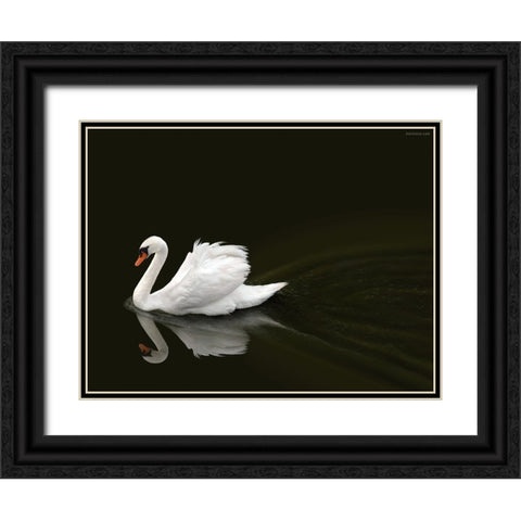 Swan 2 Black Ornate Wood Framed Art Print with Double Matting by Heine, Ben