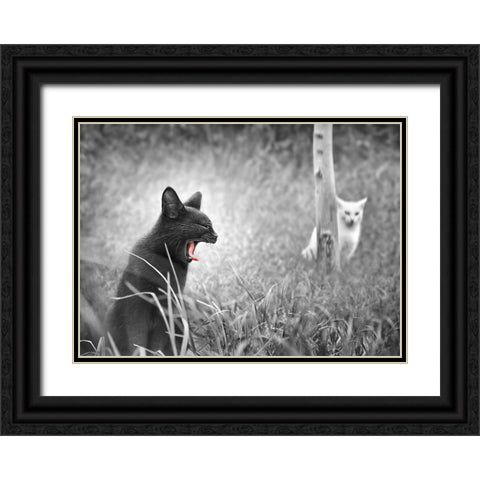 The Beauty and The Beast Black Ornate Wood Framed Art Print with Double Matting by Heine, Ben