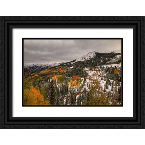 A Splash Of Color Black Ornate Wood Framed Art Print with Double Matting by Sherrell, Bill