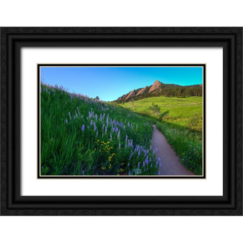 A Walk On The Wild Side Black Ornate Wood Framed Art Print with Double Matting by Sherrell, Bill