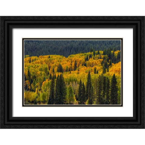 Autumn Flames Black Ornate Wood Framed Art Print with Double Matting by Sherrell, Bill