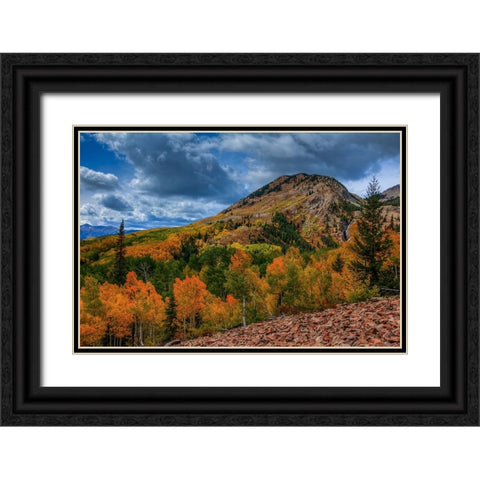 Autumn Foothill Black Ornate Wood Framed Art Print with Double Matting by Sherrell, Bill