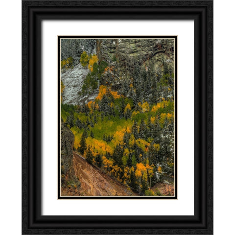Autumn Grace Black Ornate Wood Framed Art Print with Double Matting by Sherrell, Bill