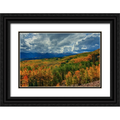Autumn Illumination Black Ornate Wood Framed Art Print with Double Matting by Sherrell, Bill