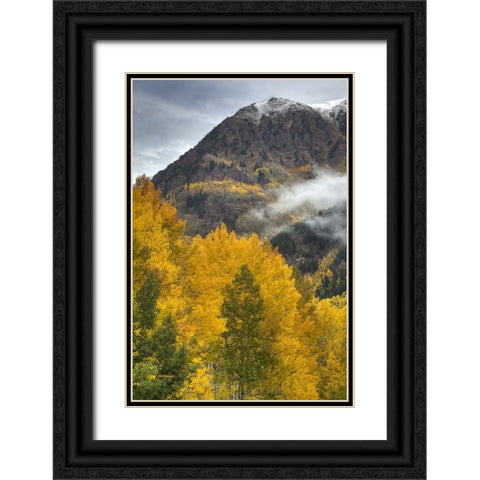 Autumn Moods Black Ornate Wood Framed Art Print with Double Matting by Sherrell, Bill