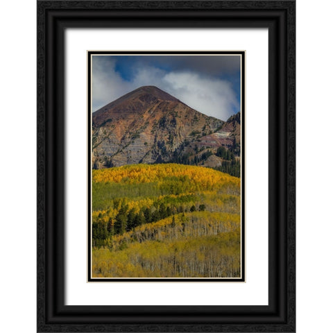 Autumn Mountain Near Crested Butte Black Ornate Wood Framed Art Print with Double Matting by Sherrell, Bill