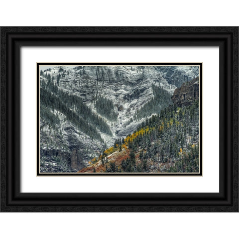 Autumn Slice And Majestic Delineation Black Ornate Wood Framed Art Print with Double Matting by Sherrell, Bill