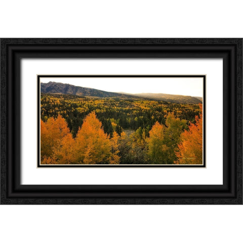 Autumn Sunrise Black Ornate Wood Framed Art Print with Double Matting by Sherrell, Bill