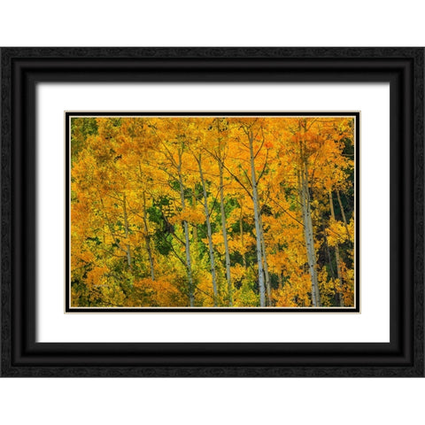 Backlit Embrace Black Ornate Wood Framed Art Print with Double Matting by Sherrell, Bill