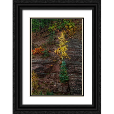 Beautiful Tenacity Black Ornate Wood Framed Art Print with Double Matting by Sherrell, Bill