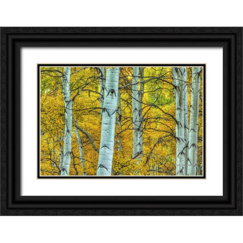 Chaotic Beauty Black Ornate Wood Framed Art Print with Double Matting by Sherrell, Bill
