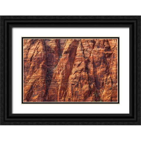 Cliffhanger Black Ornate Wood Framed Art Print with Double Matting by Sherrell, Bill