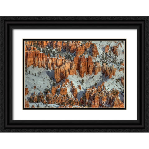 Color In The Snow Black Ornate Wood Framed Art Print with Double Matting by Sherrell, Bill