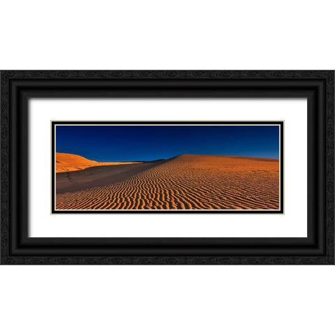 Dune Squiggles Black Ornate Wood Framed Art Print with Double Matting by Sherrell, Bill