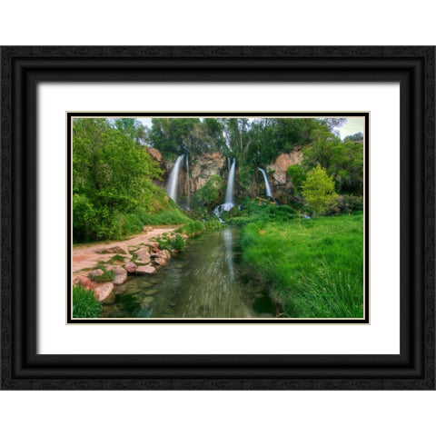 Eden Black Ornate Wood Framed Art Print with Double Matting by Sherrell, Bill